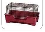 Guinea Pig The Old Way Pet Store Cage graphic